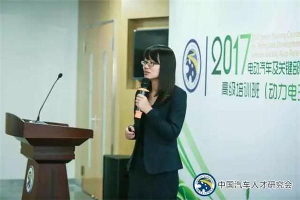 ，動(dòng)力電池技術(shù),新能源汽車電池