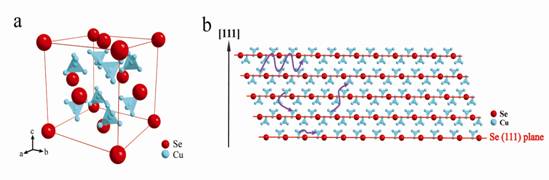 說(shuō)明: Fig1.jpg