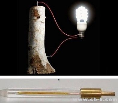 木質(zhì)素是由聚合的芳香醇構(gòu)成的一類物質(zhì)，存在于木質(zhì)組織中，主要作用是通過形成交織網(wǎng)來硬化細(xì)胞壁。吳榮照說，這種物質(zhì)作為造紙過程中所產(chǎn)生的廢料，一直不為人所注意。