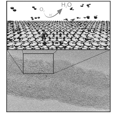 在研制燃料電池過(guò)程中，尋找廉價(jià)且高效的有機(jī)催化劑一直是相關(guān)領(lǐng)域研究人員努力的方向。