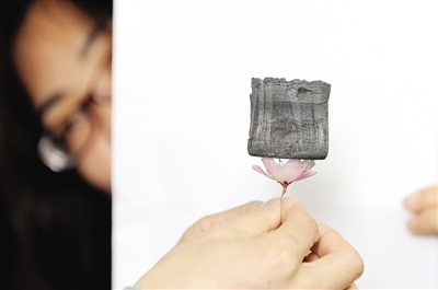 工作人員將一塊100立方厘米的&ldquo;全碳氣凝膠&rdquo;放在一朵花上進行展示。新華社記者