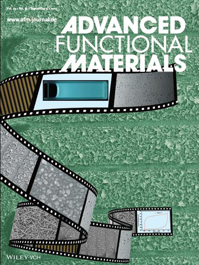 《先進(jìn)功能材料》（23卷33期）封底