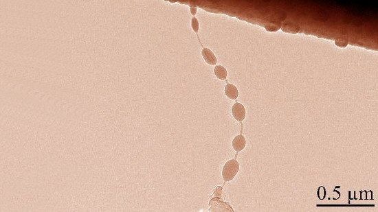 手機(jī)續(xù)航太爛？太陽(yáng)能電池或成最佳方案